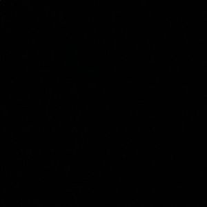 Meet your Posher, Kyra